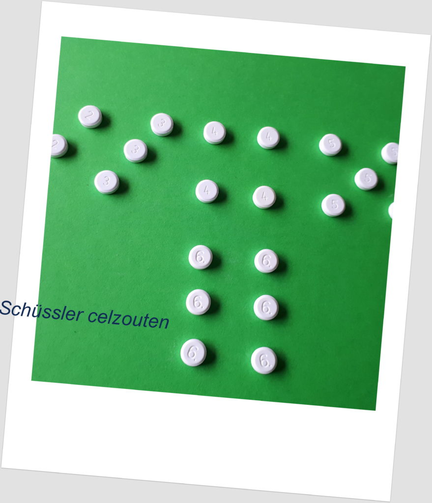 Dr Schüssler Celzouten