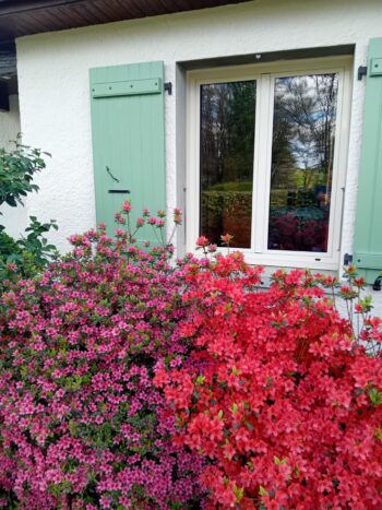 Behandeling op afstand Marleen Helena